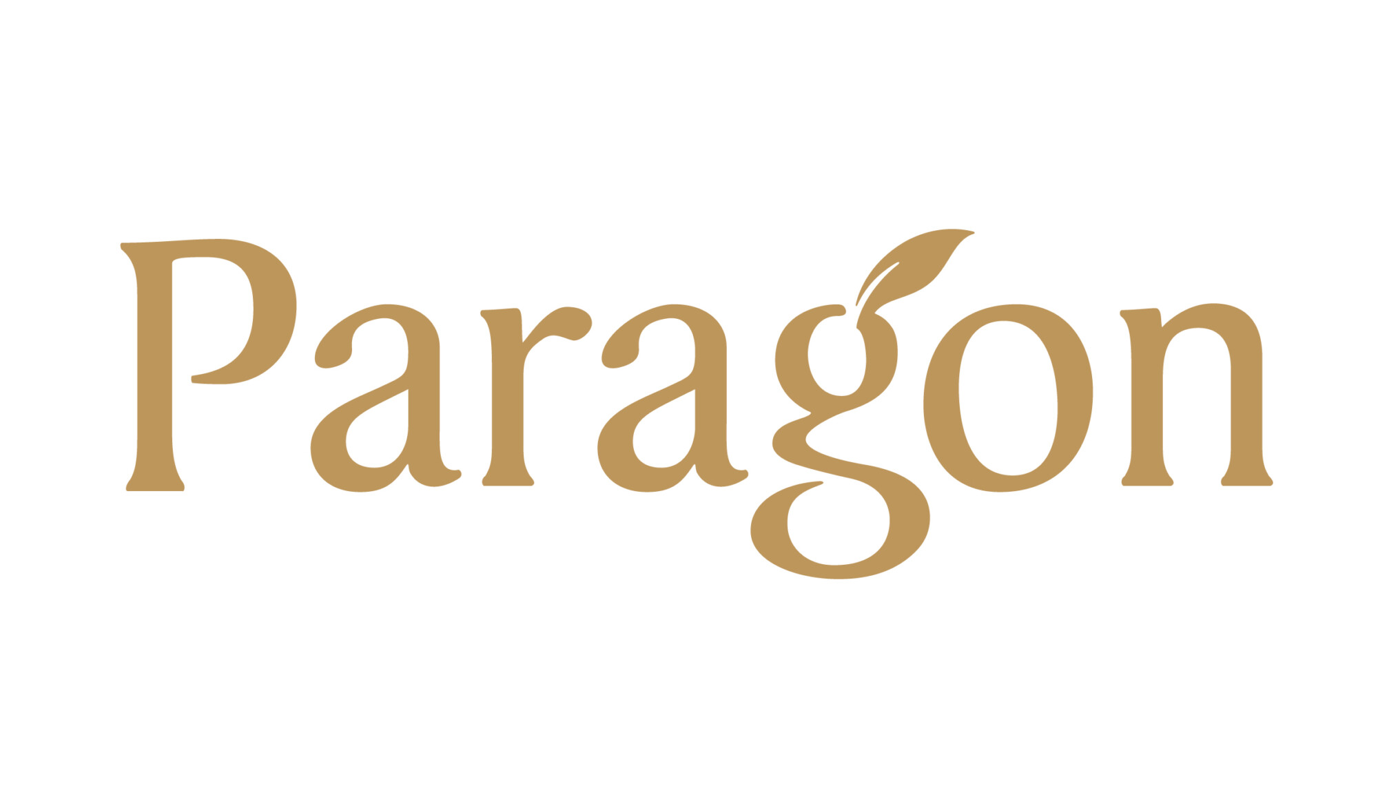 Client Logo